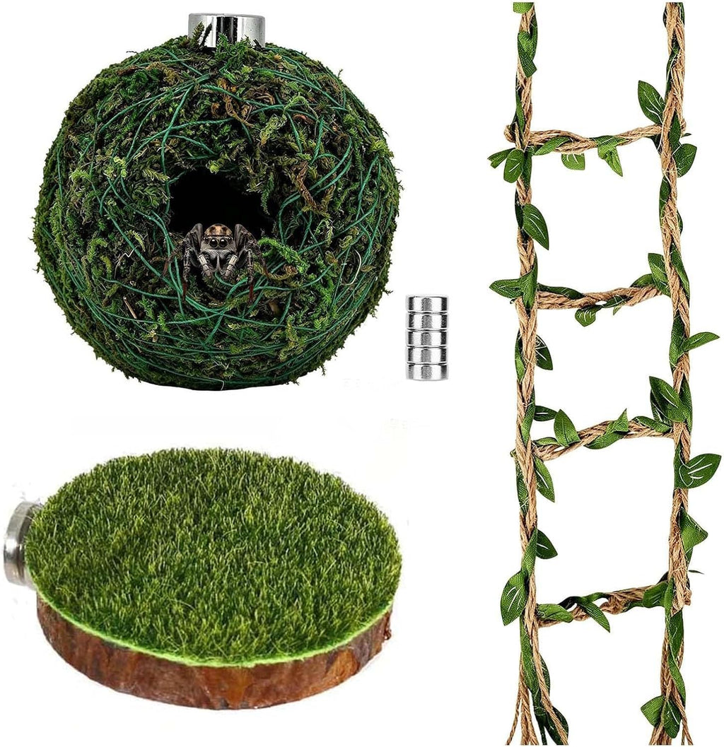 Jumping Spider Accessories, Magnetic Moss Hideout with Resting Platform