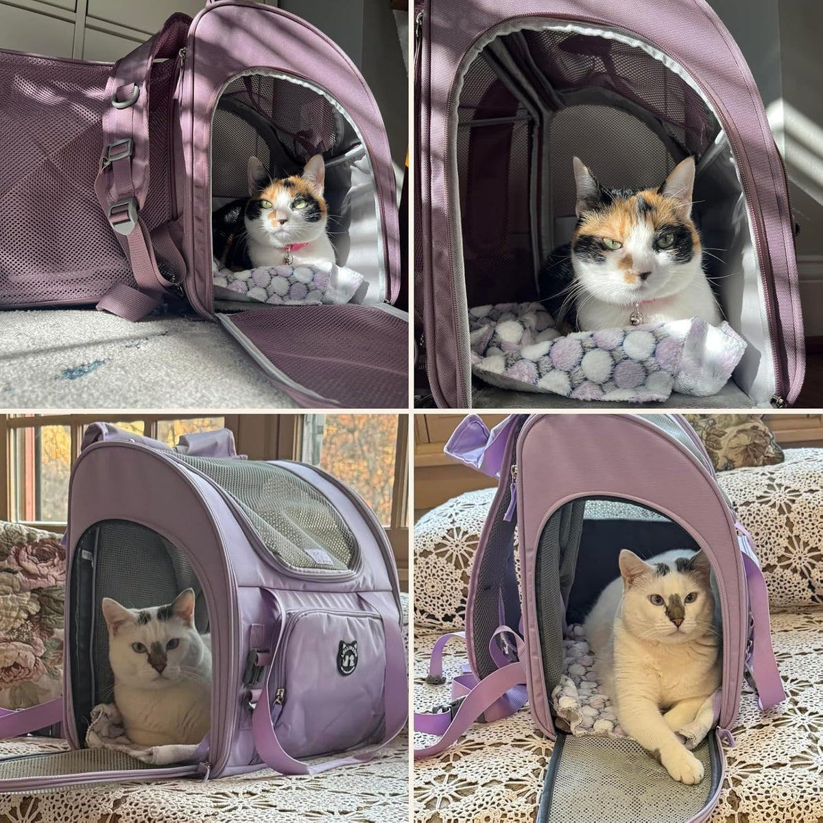 Lollimeow Cat Backpack Carrier, Large Expandable Pet Backpack for Small Dog