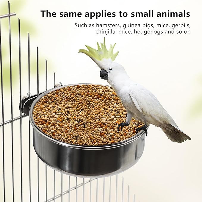Large Bird Feeding Dish Cups, Parrot Food Bowl Cage - Image 5