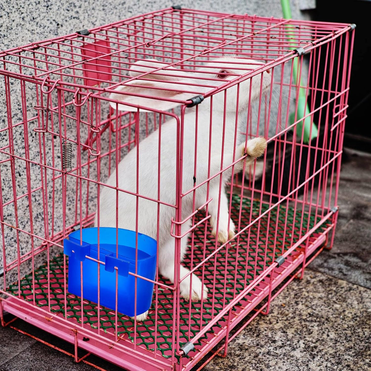 Suclain 30 Pack Blue Cage Feeders Birds Cage Cups Plastic Hanging Feeding
