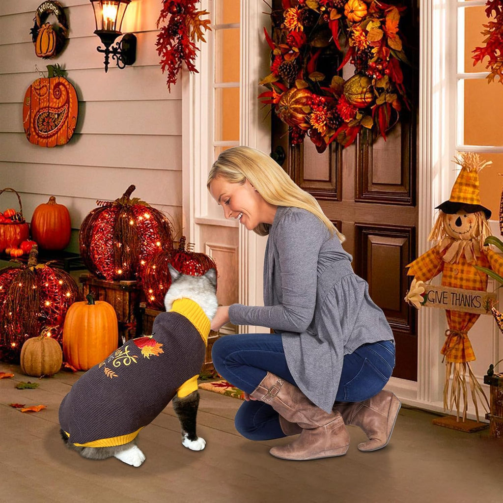 2Pcs Dog Thanksgiving Sweaters Pet Pumpkin Turkey Sweater Thanksgiving Cat Turtleneck Knitwear Shirt Clothes Dog Puppy Turkey Costume Clothes for Small Medium Dogs Cats XL