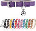 XS Dog Collar for Teacup Adjustable Teacup Dog Collar for Small Medium Large by Engorgio
