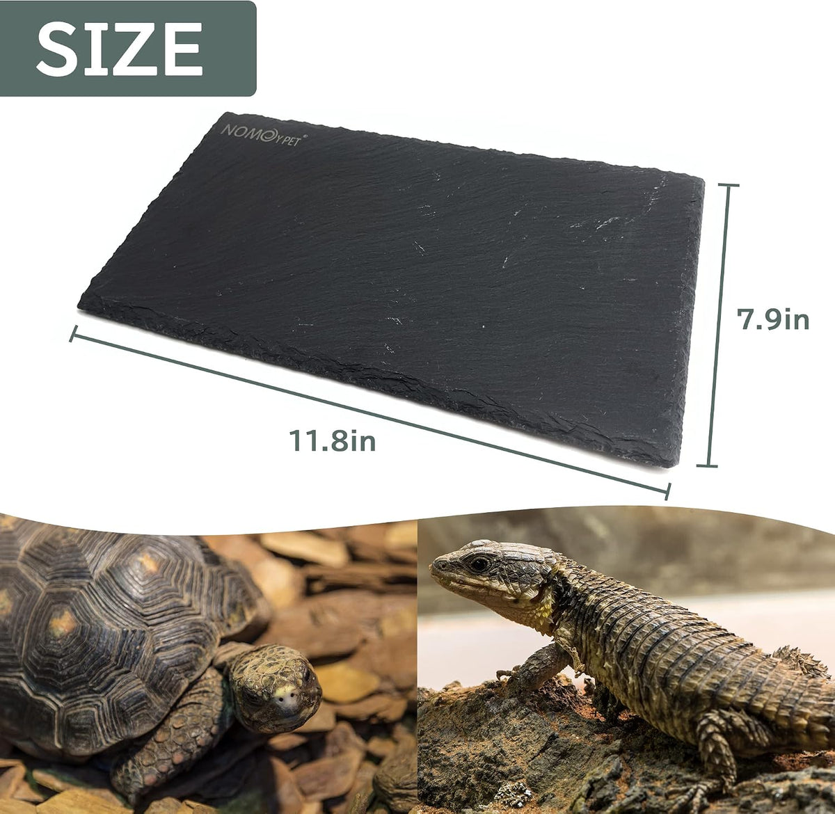 SHIGATSU 7.8"x11.8" Slate Reptile Basking Platform for Turtle Lizard