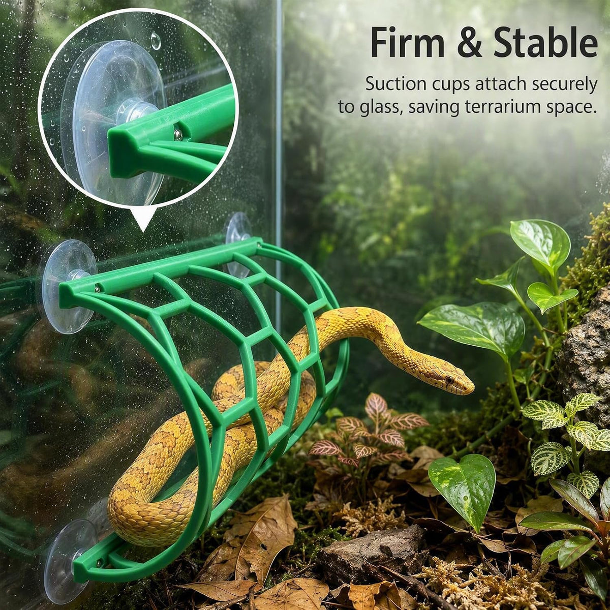 2 Pack Reptile Honeycomb Climbing Shelf, Green & Black