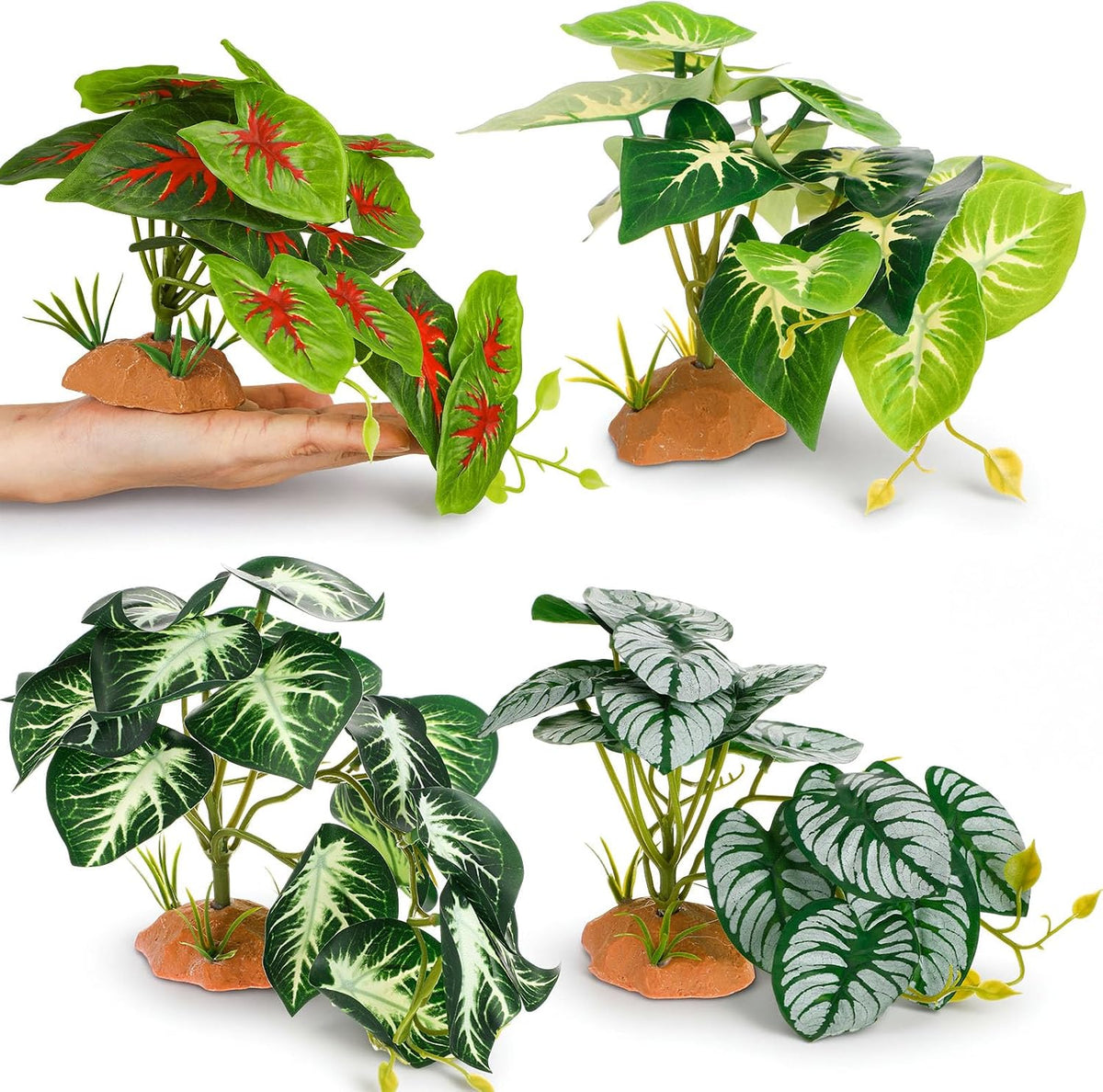 Suncalla 4 Pack Reptile Plants for Terrarium, Multiple