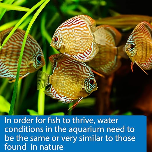 API 5-IN-1 TEST STRIPS Freshwater and Saltwater Aquarium Test Strips 100-Count - Image 6