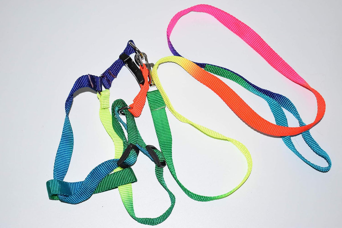 Mini Pig Adjustable Harness Leash for Hog Piggy