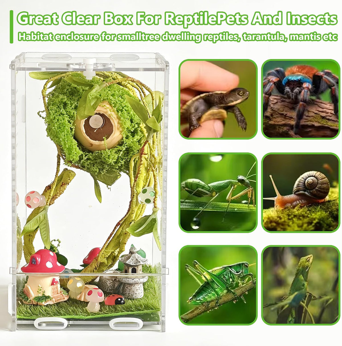 20 PCS Jumping Spider Enclosure Kit with Accessories,4.33"*4.13"*7.87"