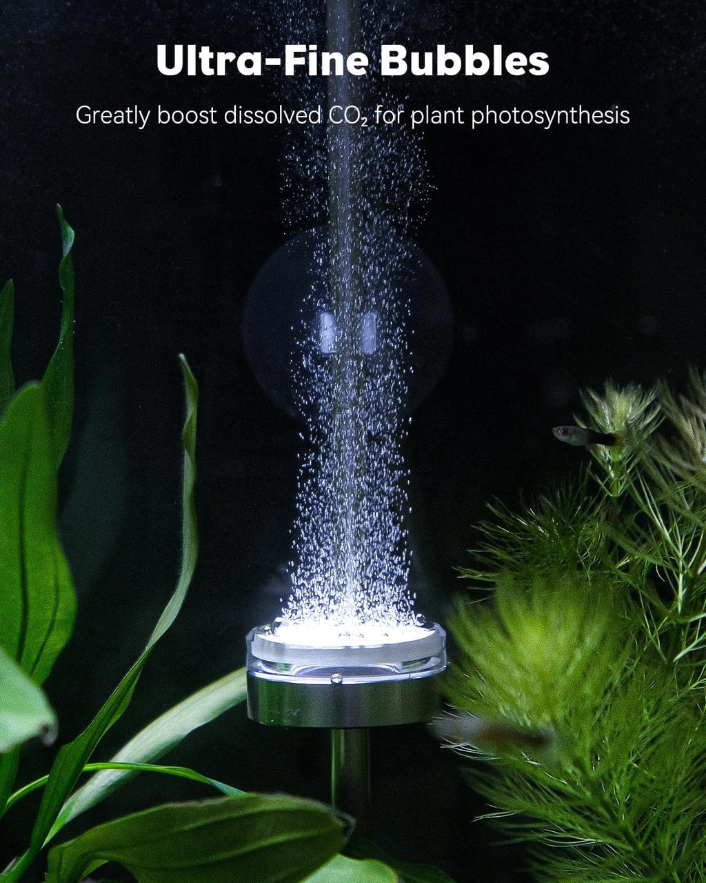 Pawfly Aquarium CO2 Diffuser, Aquarium Stainless Steel CO2 Diffuser with Built-in Check Valve and Suction Cups for Aquarium Plants, Fish Tank Atomizer with Improved Ceramic Disc