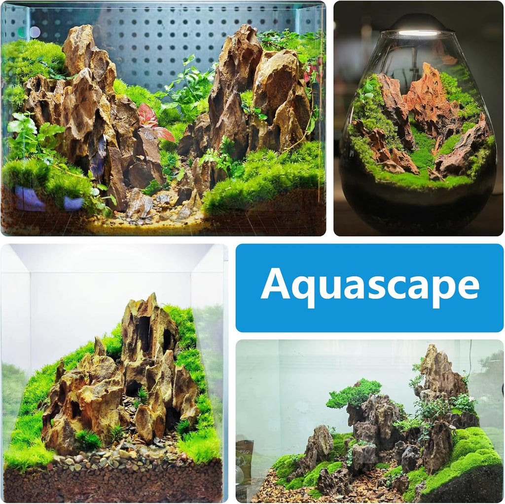 Aquarium Rocks 5lb Dragon Stone for Aquariums Aquascaping Landscaping Model Fish Tanks Terrariums Vivariums Decoration Paludarium Amphibian Enclosures-2-4 Inches