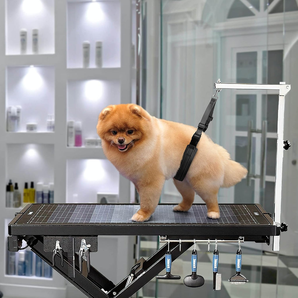 Jelly Pet Dog Belly Loop Restraint for Pet Grooming Table and Tub - Easy to Clean and Waterproof (Purple) | Made in the USA