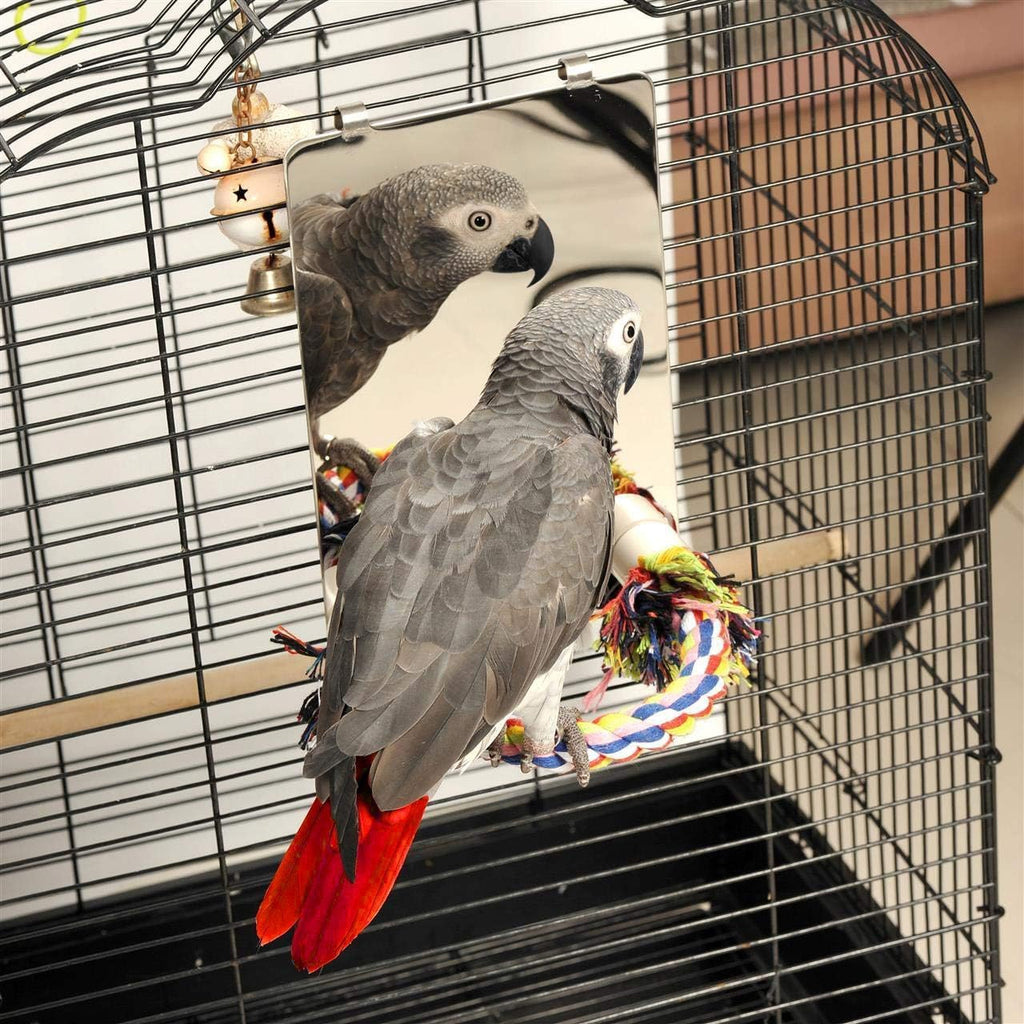 9" Bird Mirror for Cage, Large