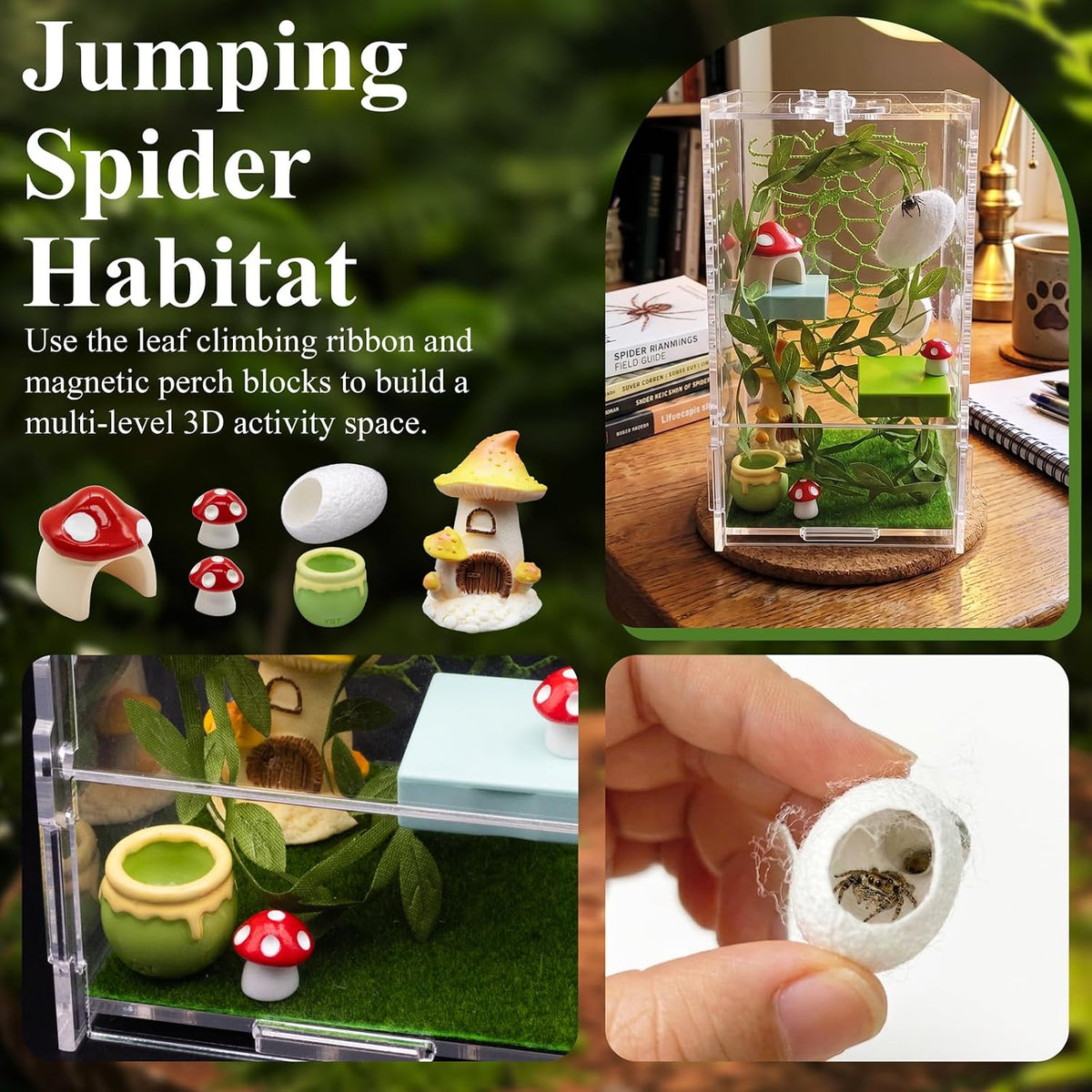 Jumping Spider Enclosure Kit, Acrylic Terrarium with Habitat Decor