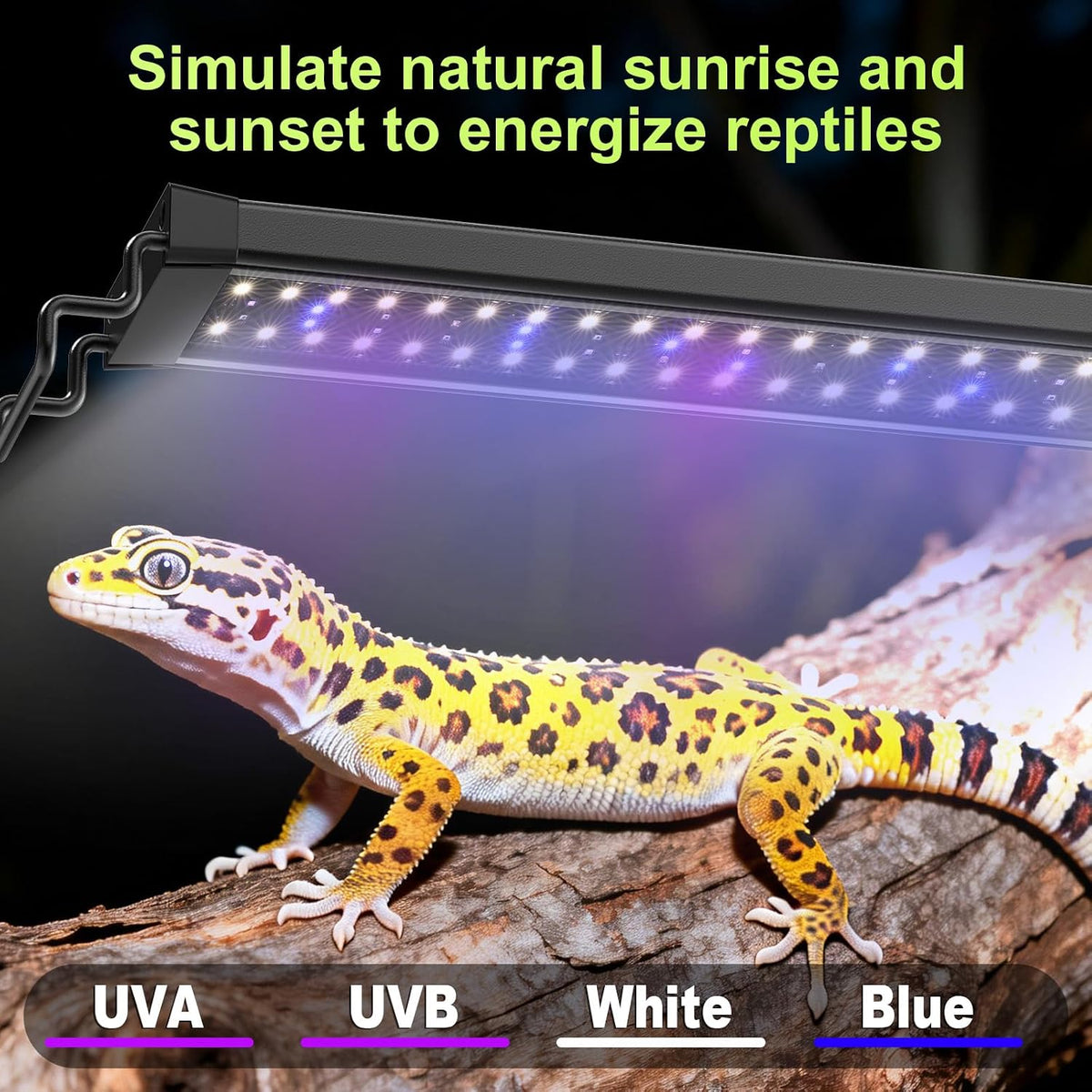 12W LED UVB Light for Reptiles Terrarium Light Extendable Reptile Tank Light with Controller ＆Dimming and 5 UVI Modes Full Spectrum Brilliant White Blue Red Lights for Bearded Dragon, Gecko