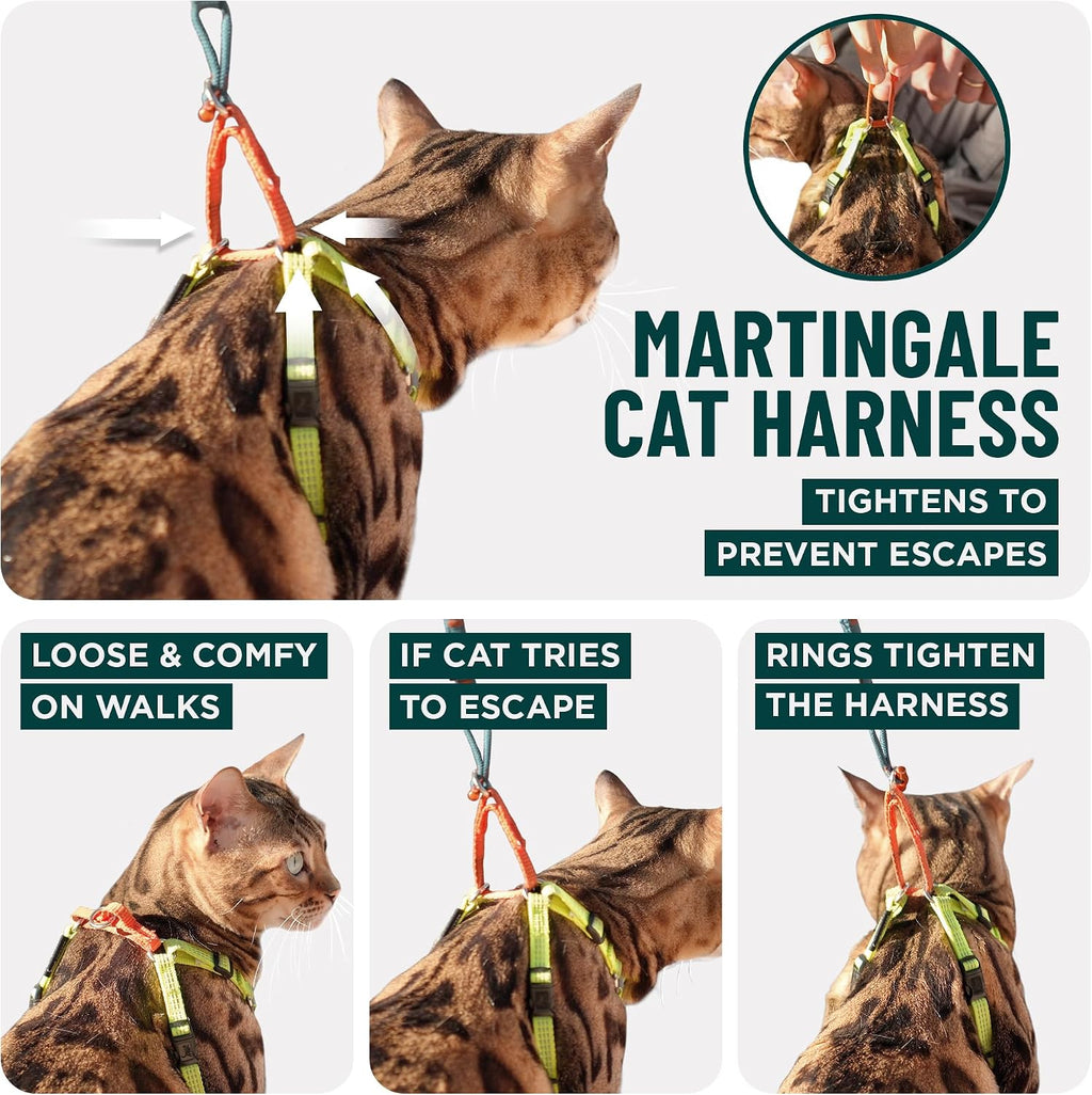 Always On™ Martingale Cat Harness (Neon Reflective, M/L)