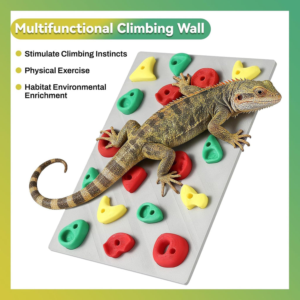 MITCHENIFY Reptile Climbing Wall, Bearded Dragon Accessories Toys