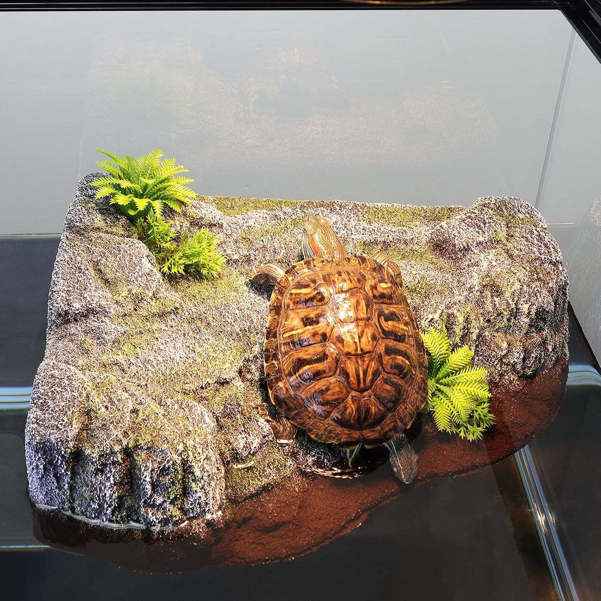 Turtle Basking Platform, Floating Turtle Dock, Turtle Tank Decor
