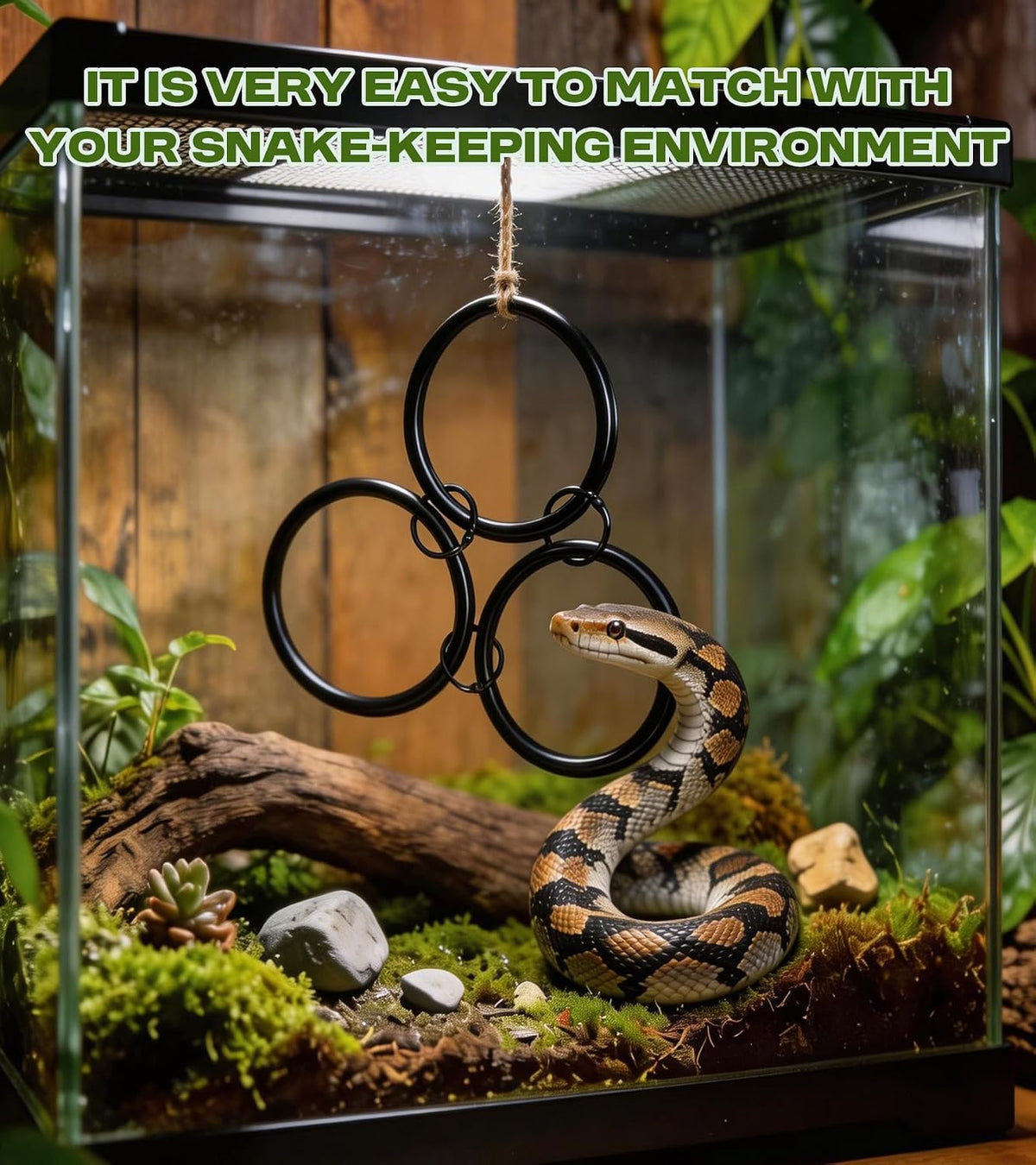 Snake Climbing Accessories,Ball Python Tank Accessories with Educational Toys,DIY Modular Tank,Suitable for Corn Snakes,Ball Pythons,Lizards,Chameleons and Parrots