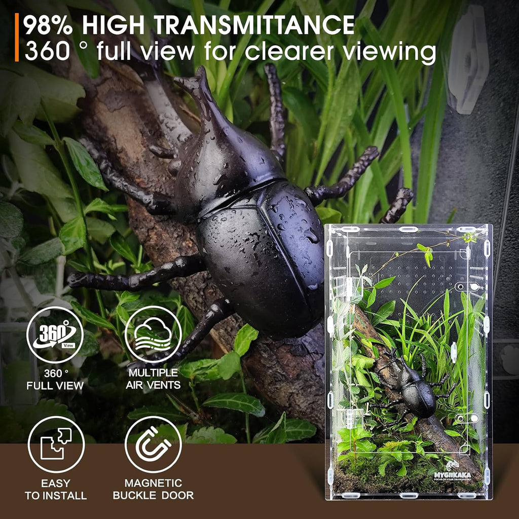 Acrylic Jumping Spider Enclosure - Insect Terrarium for Spiders, Mantises, Tarantulas & Frogs