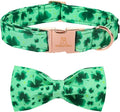 Lionheart glory Clover Dog Collar, Adjustable Dog Collar by LionheartGlory
