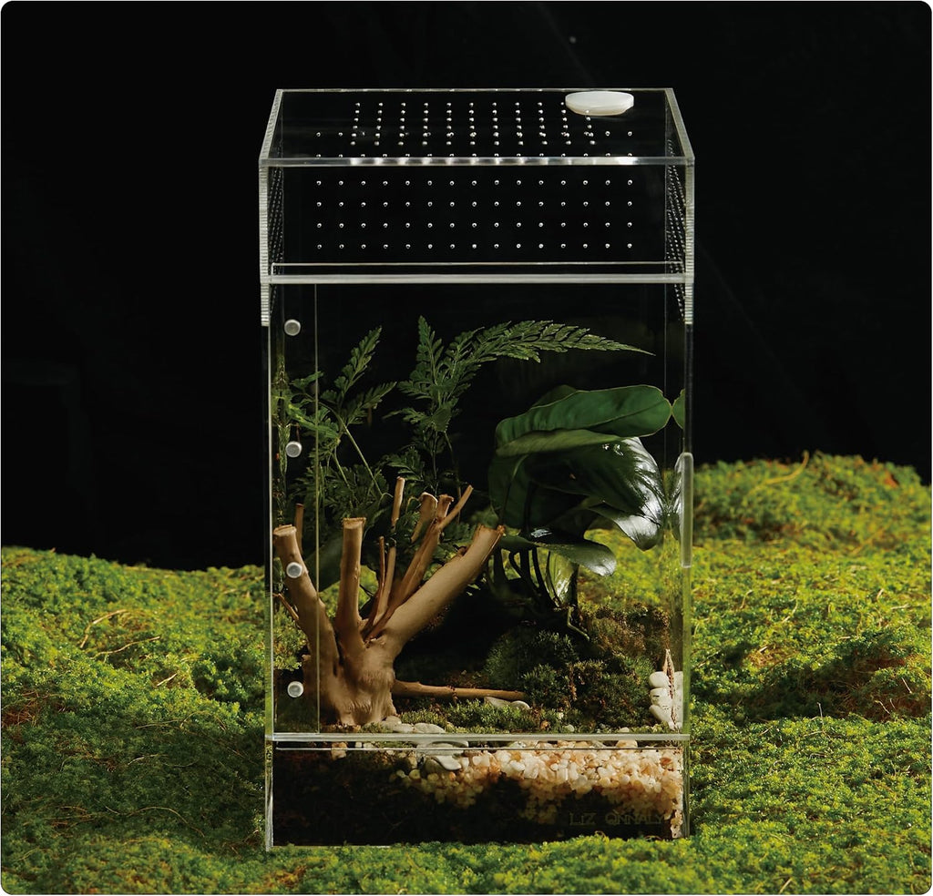 Acrylic Terrarium for Reptiles & Spiders – Small/Medium/Large Leak-Proof Enclosure (Horizontal/Vertical) | Ideal for Tarantulas, Jumping Spiders, Frogs & Geckos(Small, Vertical)