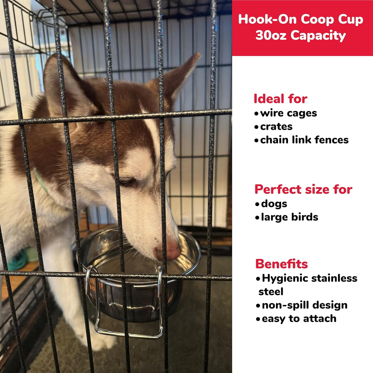 SPOT Coop Cup Wire Hanger - Stainless Steel Hanging Bowl for Pet Crates, Easy Install, Chew-Proof, Removable Water/Kibble Bowl for Medium Dogs, Cats, Large Birds, Reptiles - 3.75 Cups (30 Oz)