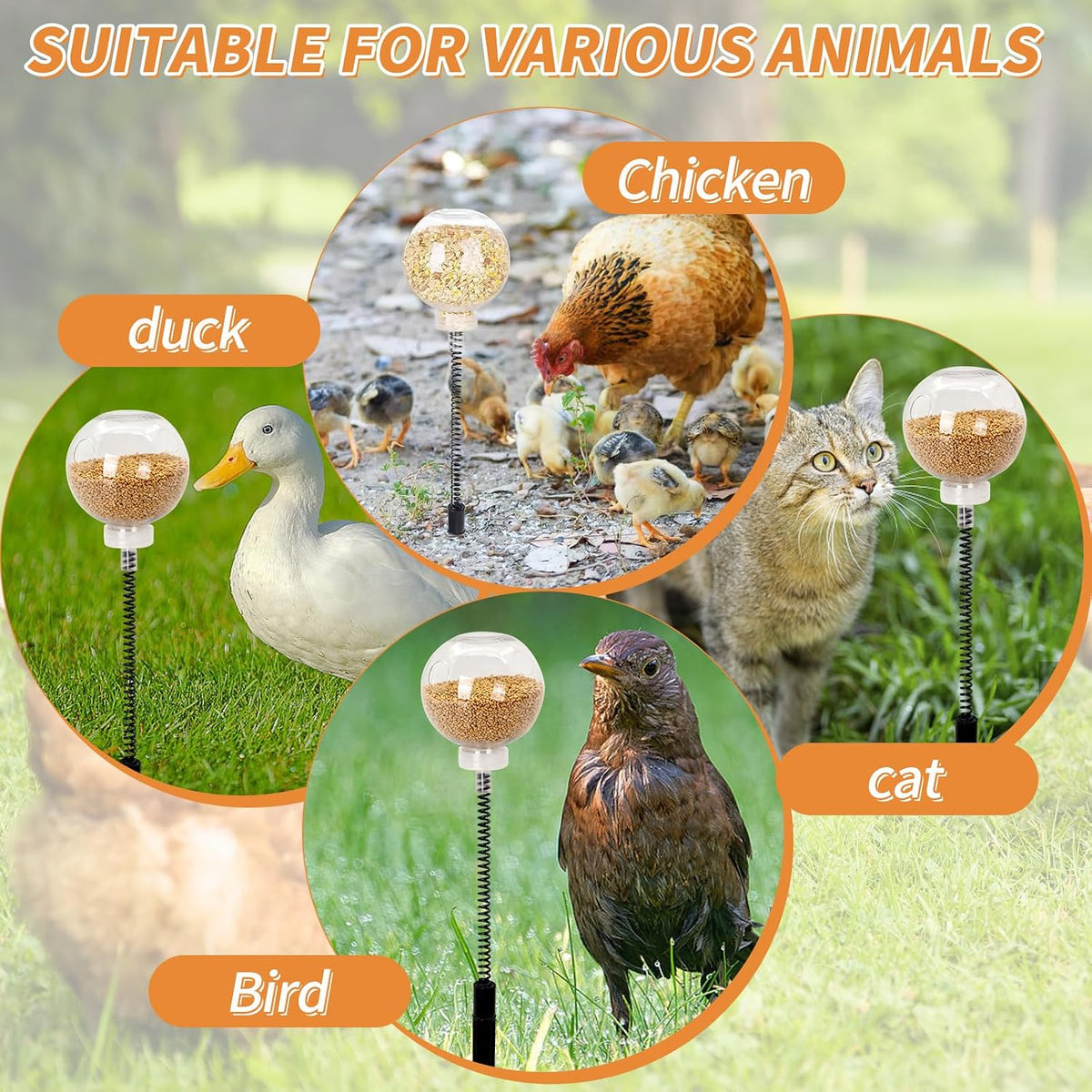 2 Pack Chicken Peck Toy, Interactive Slow Feed Release Toy for Foraging