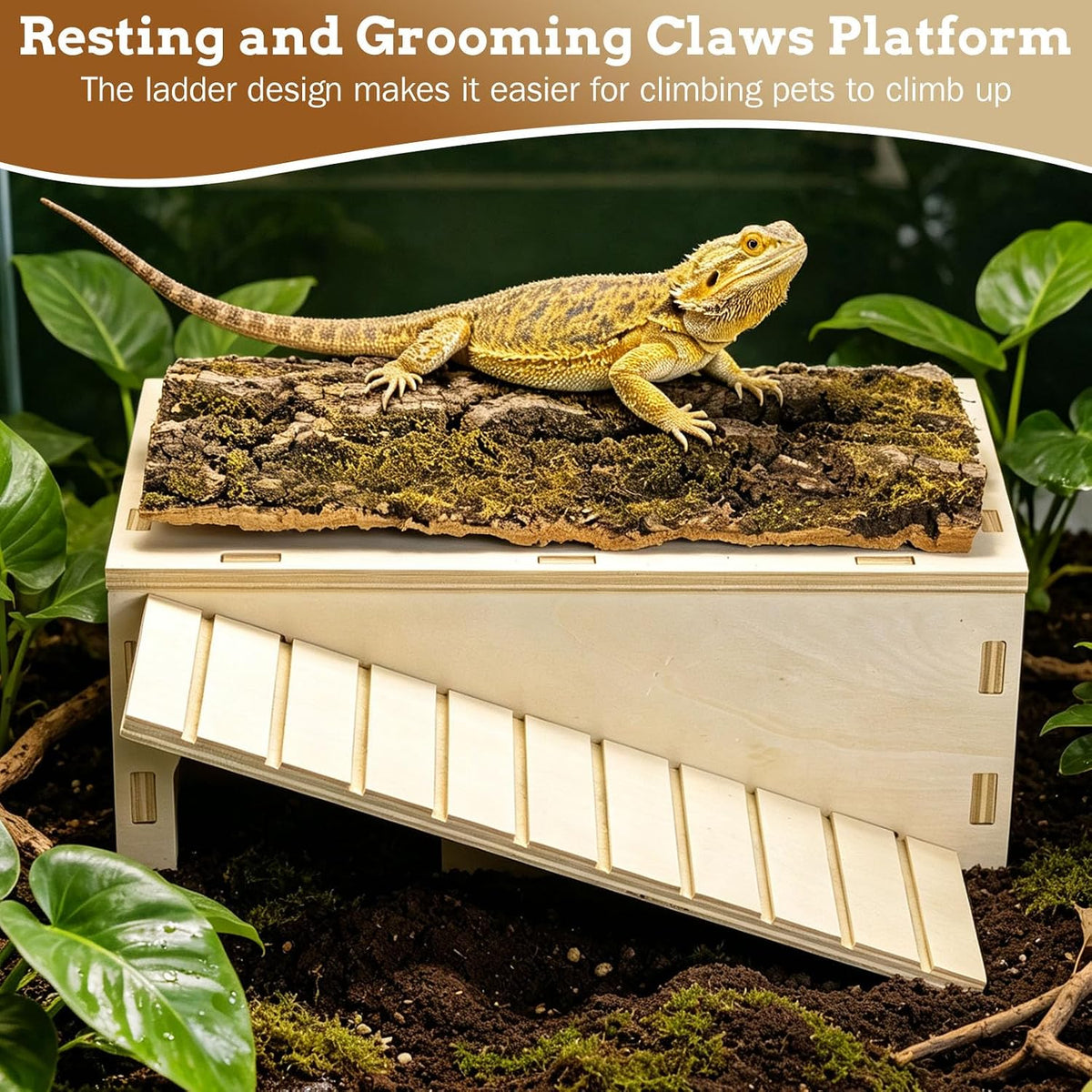 Bearded Dragon Basking Platform,Wood Reptile Hide Cave with Bark(L)