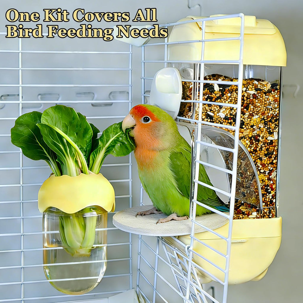 No Mess Bird Cage Feeder Automatic Food Dispenser for Parakeet Small Birds
