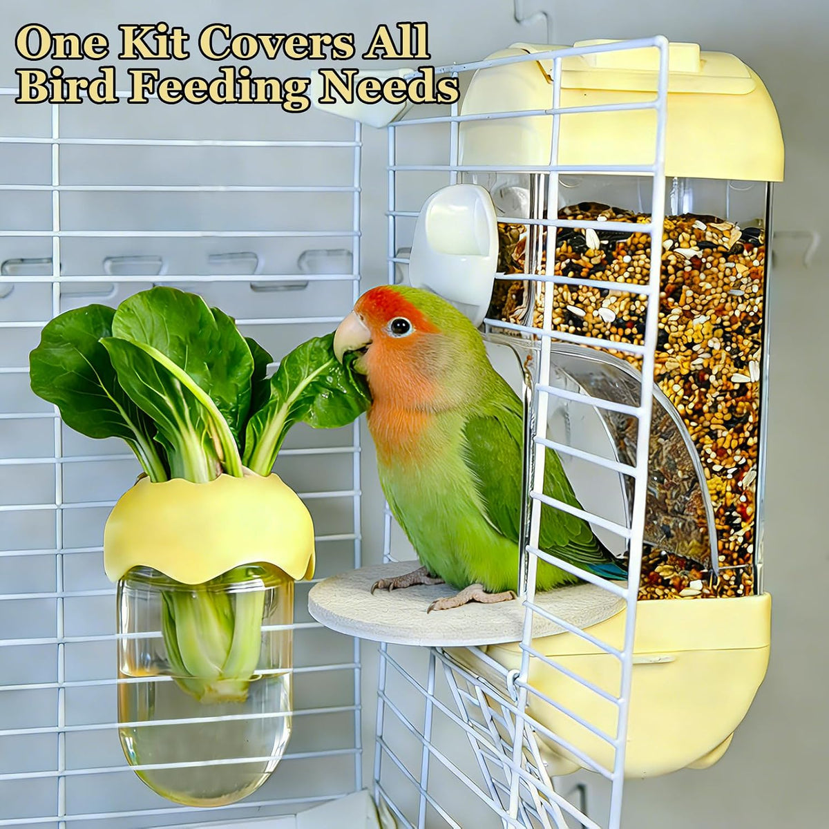 No Mess Bird Cage Feeder Automatic Food Dispenser for Parakeet Small Birds