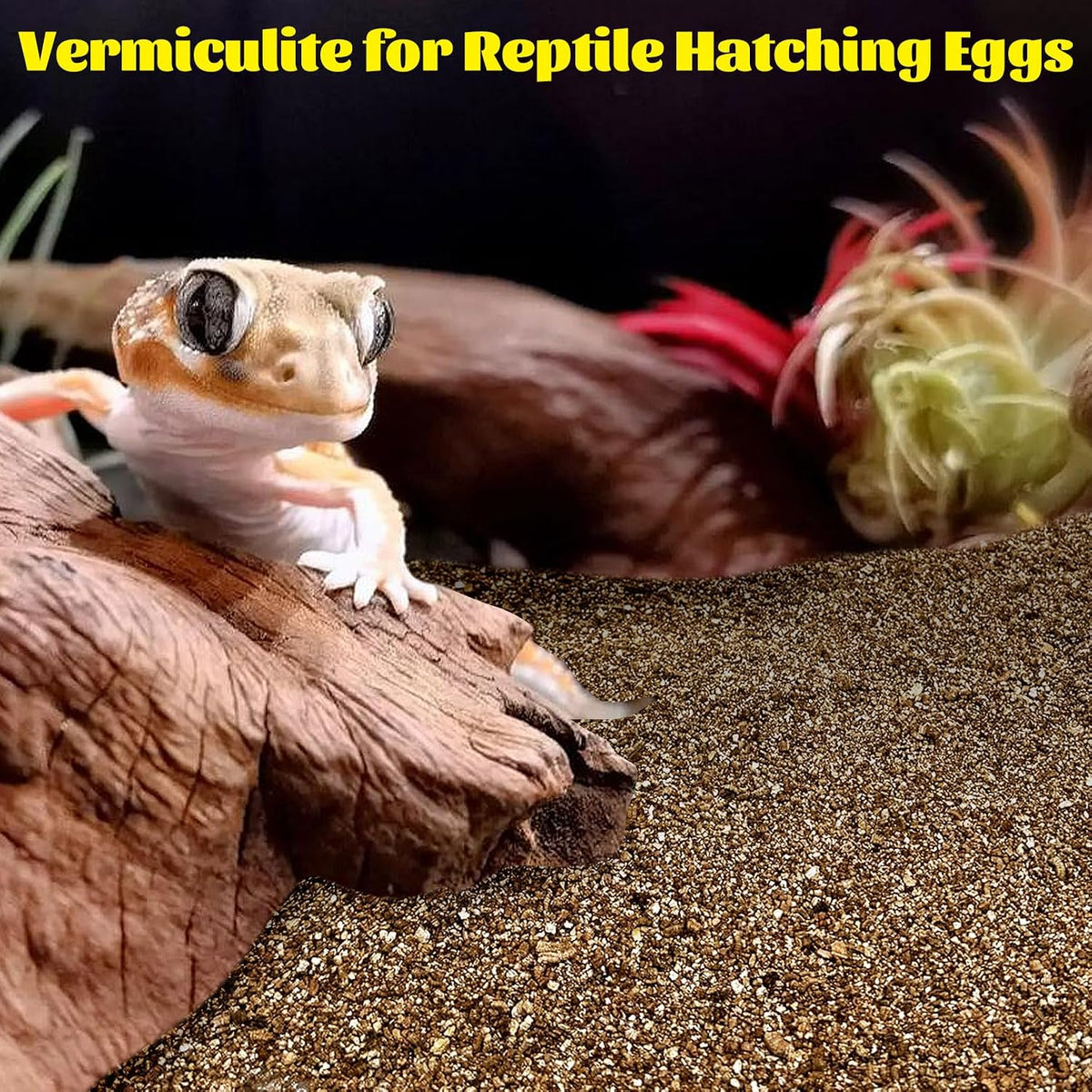 Hamiledyi Vermiculite for Incubating Reptile Eggs Terrarium Bedding Snake Habitat Substrate Reptile Bedding for Tortoise, Gecko, Ball Python, Salamander, Snake, Horned Frog(2Pack,0.87gal)
