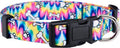 Native Pup Tie Dye Dog Collar, Paws and Bones Hippie Tiedye for Medium Dogs (Medium)