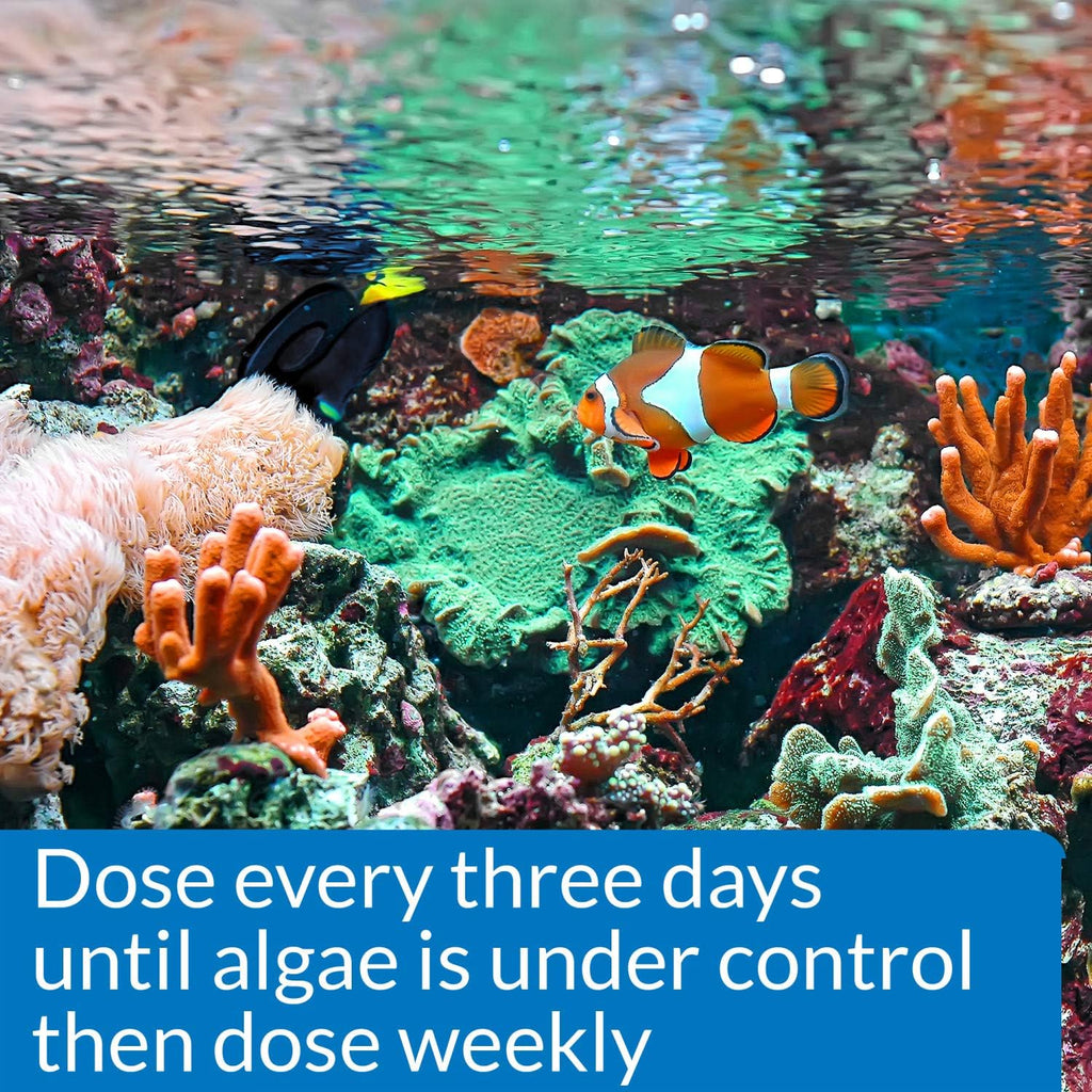 API MARINE ALGAEFIX Algae Control 16-Ounce Bottle