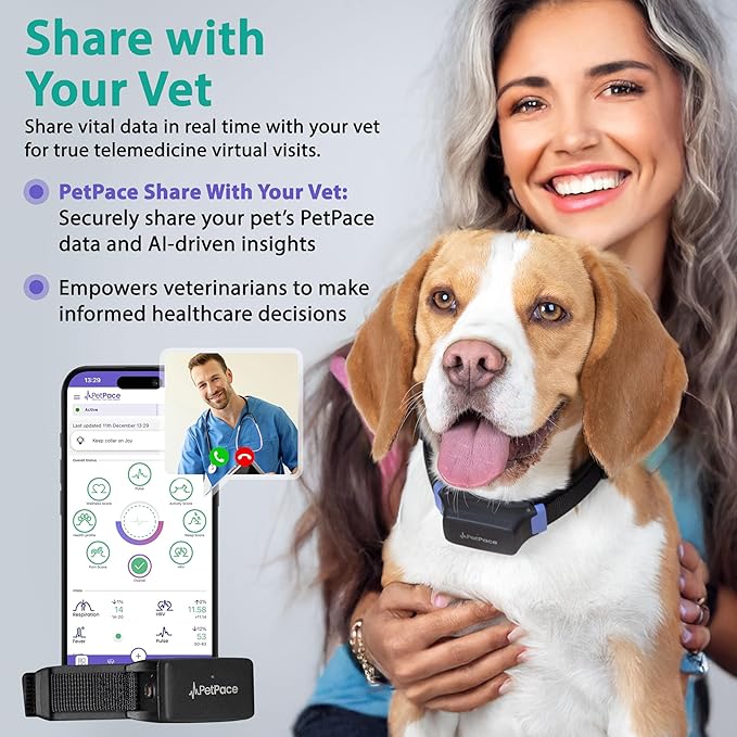 V3.0 Dog Health Monitor – AI Health Collar - Image 3