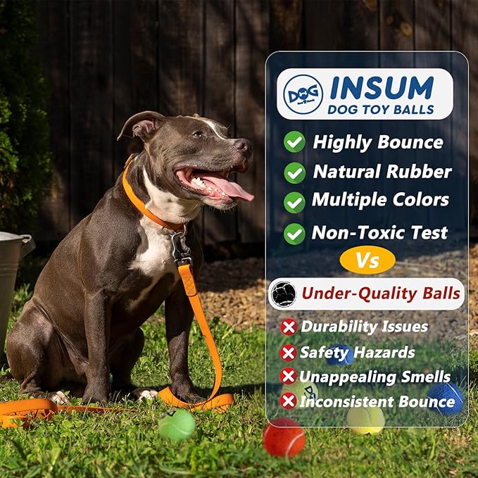 Large Squeaky Tennis Balls for Dogs - Image 6