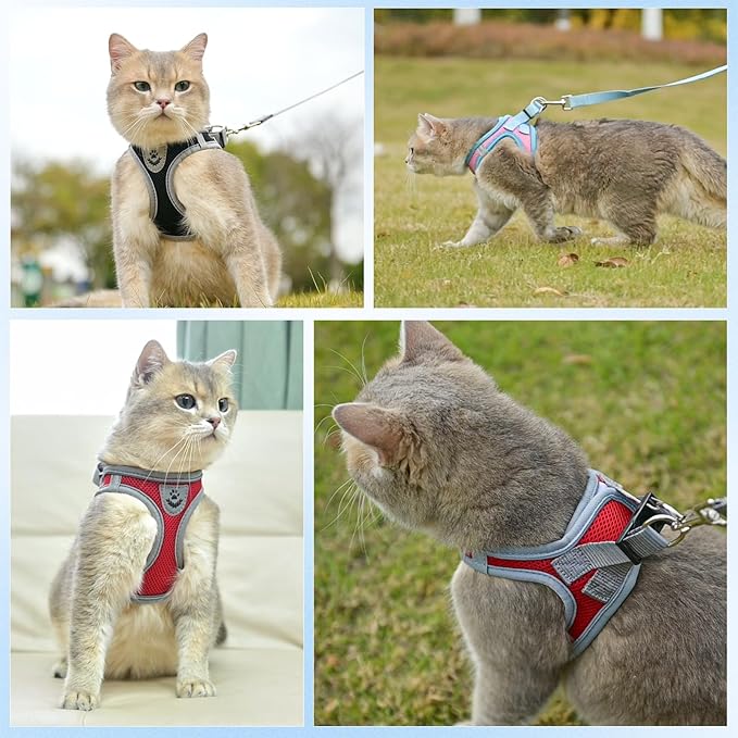 SCENEREAL Cat Harness and Leash Set - Image 5