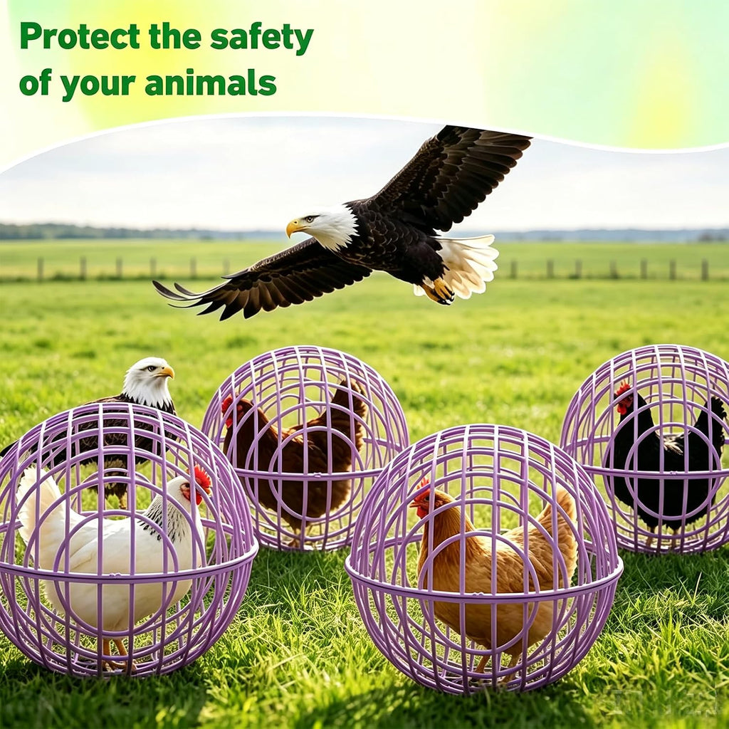 Chicken Ball Cage 4 Pack