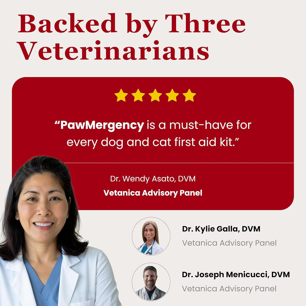 PawMergency – Activated Charcoal First Aid Kit Emergency Rescue for Dogs, Cats, Puppy & Pet Poison Kit, Camping Survival Remedy Essential,Oral Anti Diarrhea Digestive Paste Ready Absorb Toxins