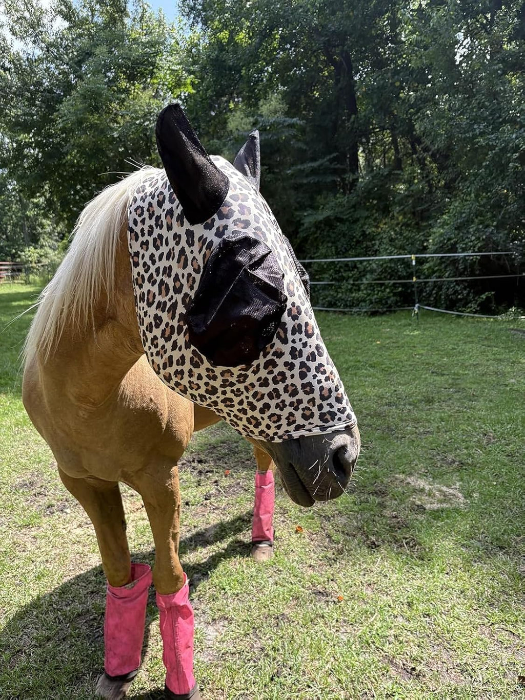 Stretchable UV-Blocking Equine Fly Mask with Moldable Ear Covers, Adjustable Comfort Mesh Straps, Leopard-Pattern Pasture & Trail Protection Perfectly Sized for Full Sized Horses -