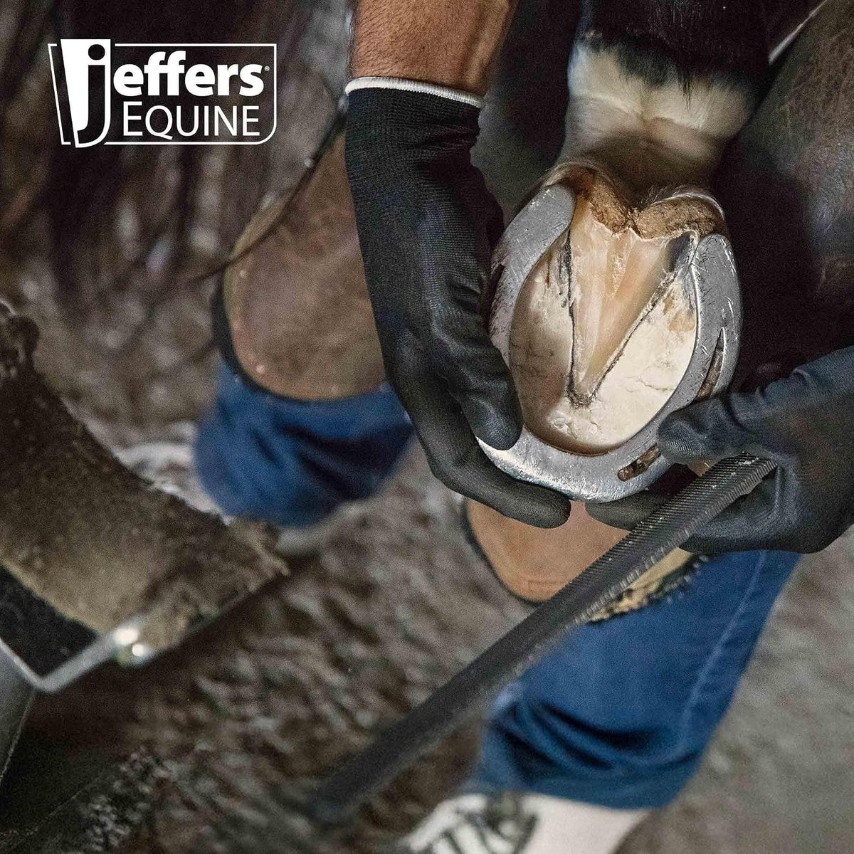 Jeffers Livestock Mini Hoof Rasp for Goats, Sheep, Pony, Mini Horses, Foals – 14" Ergonomic Steel Hoof Trimming Tool with 6 Teeth per Row – One Hand Use, Compact Farrier Hand Rasp