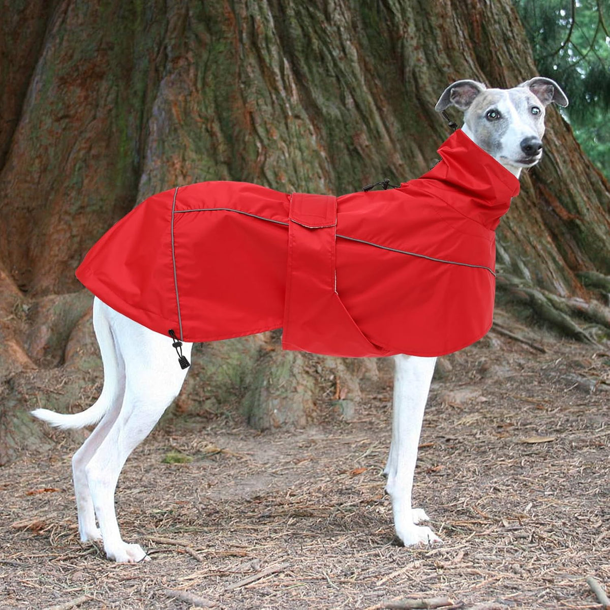 Greyhound Lurcher Raincoat, Whippet Rain Gear with Reflective Bar, Rain/Waterproof, Adjustable Bands and Drawstring in Autumn and Winter - Red - S