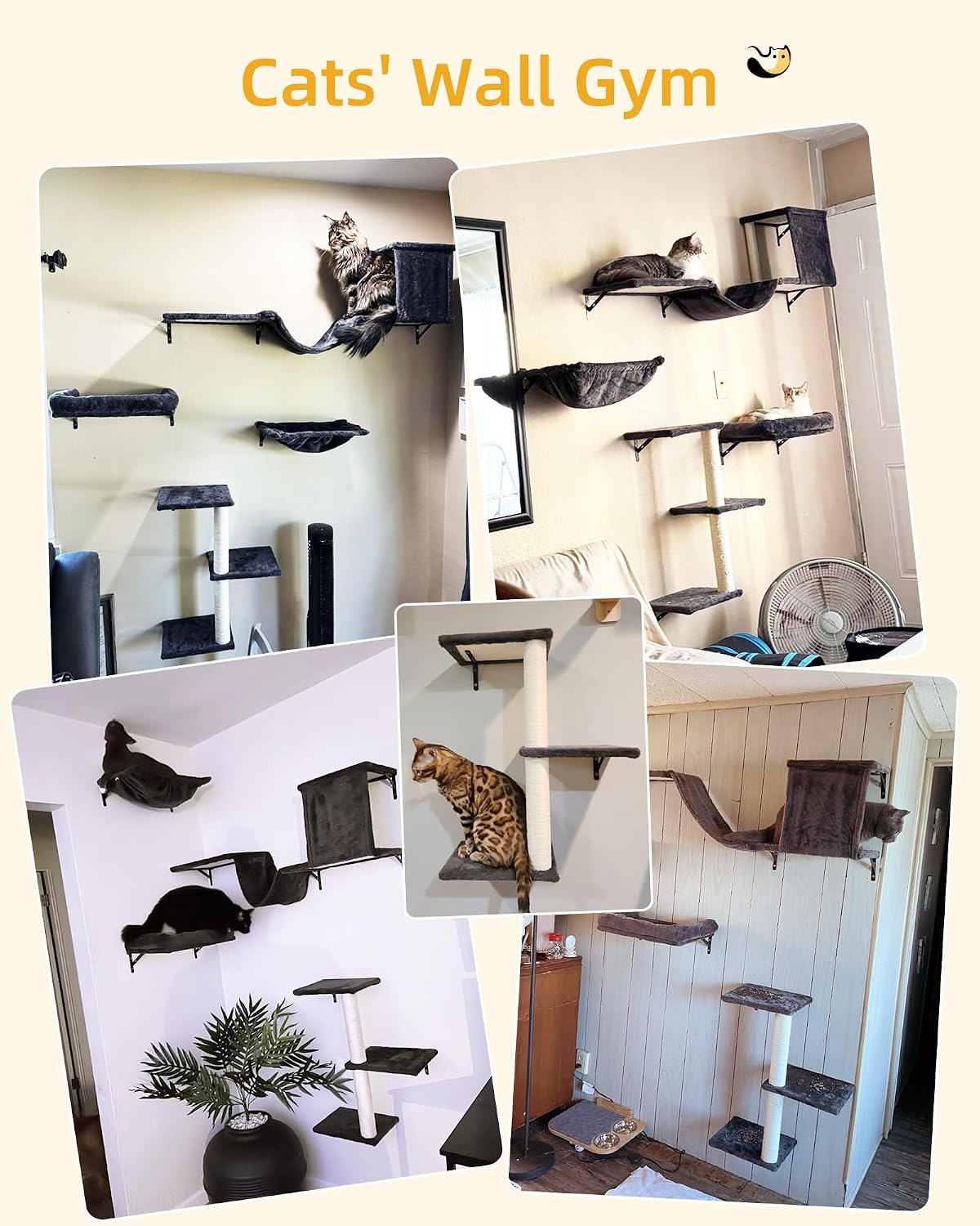 Aechonow Heavy Duty Cat Wall Shelves for Large Cats, 5-in-1 Cat Furniture