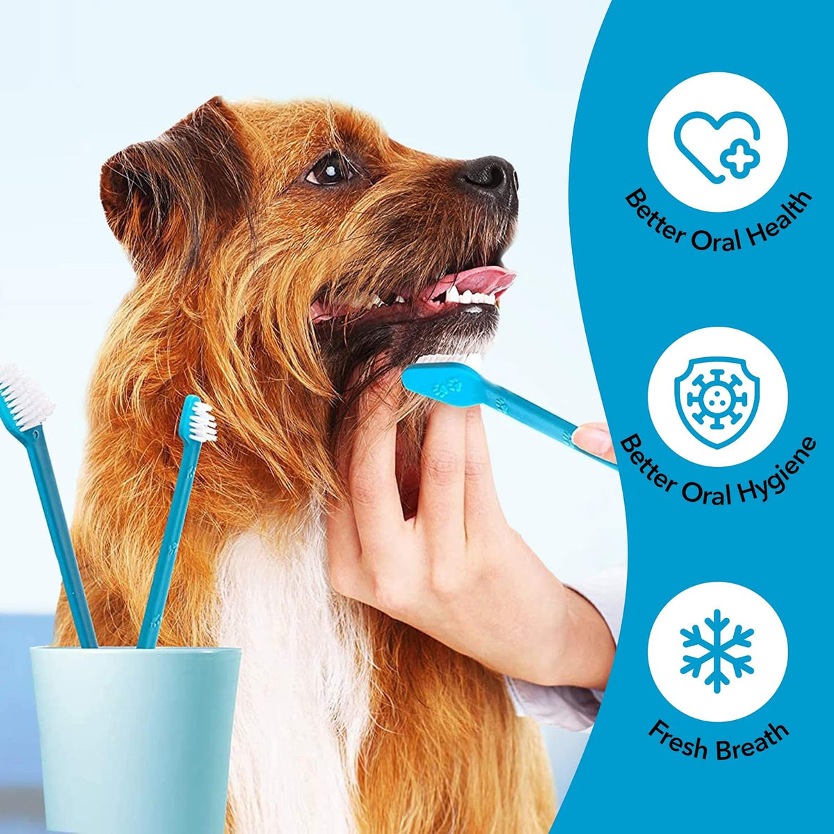 Boshel Dog Toothbrush Kit, 6 Dual-Headed Dog Tooth Brush + 2 Pet Finger Toothbrush for Small and Large Breeds, 8 Pack