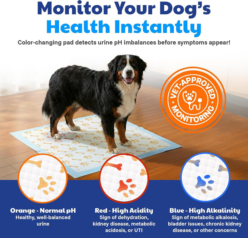 AKC Health Monitoring Dog Training Pads, XL 28" x 30", Fresh Scent, 50 Ct