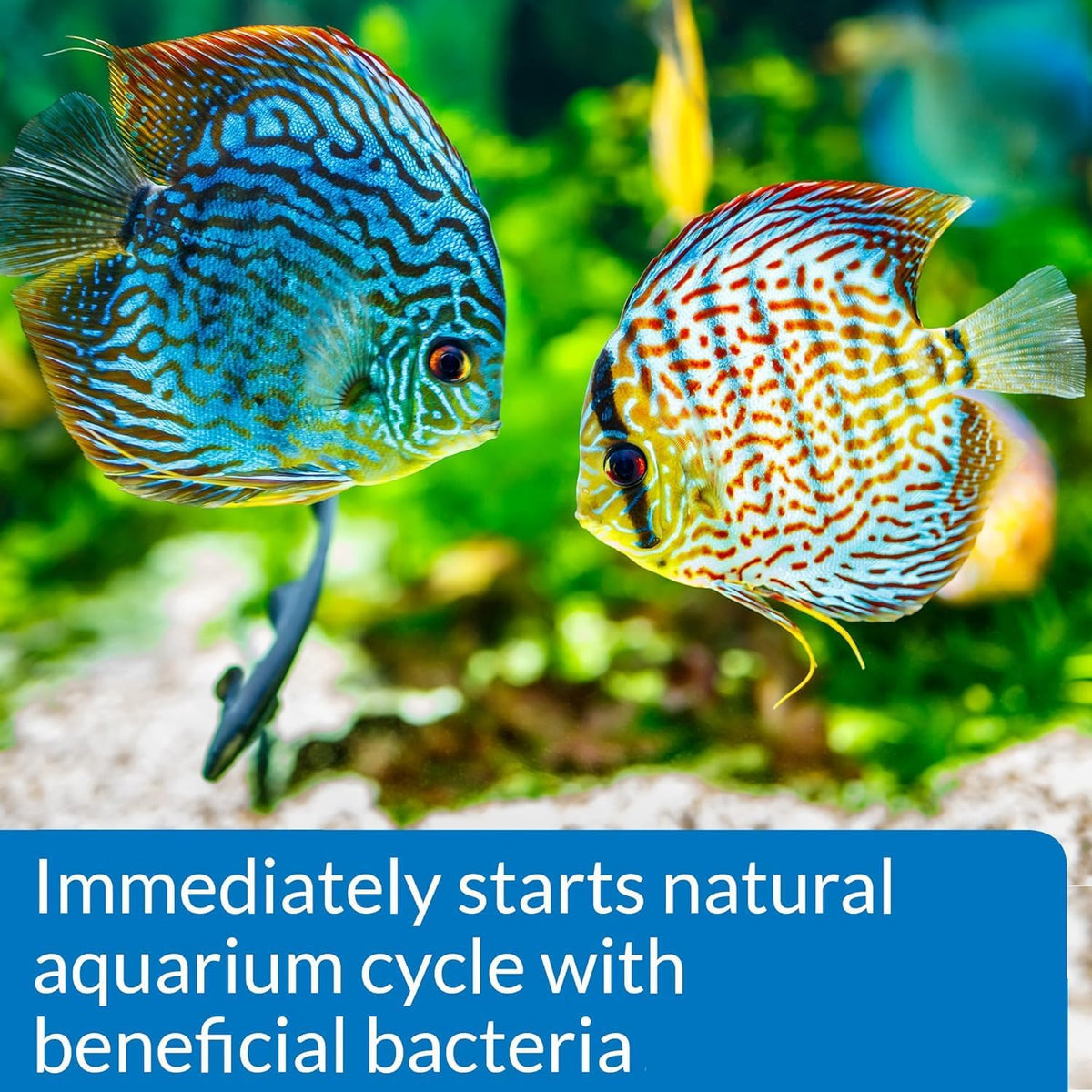 (2) API Quick Start 16oz Bottles for Freshwater and Saltwater Aquariums.