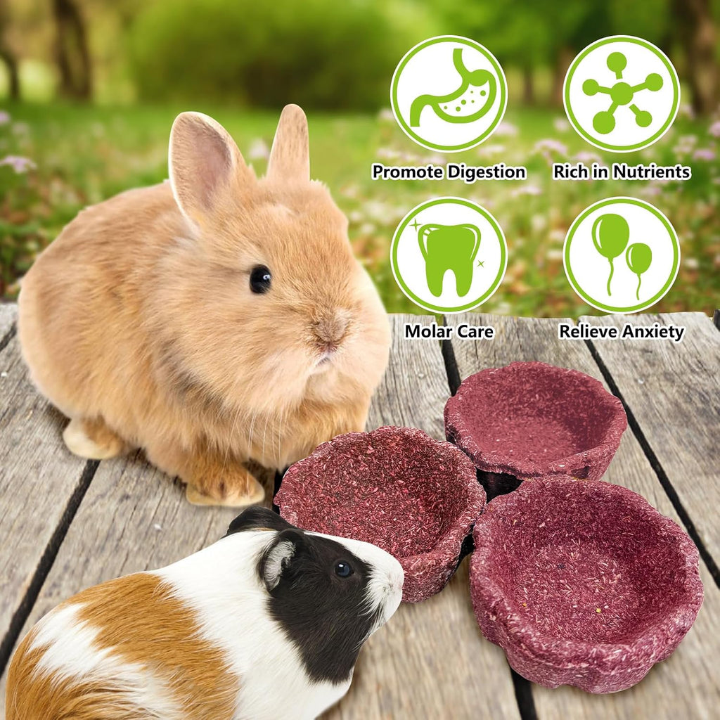 6 Pack Rabbit Chew Toys for Teeth Natural Guinea Pig Toys