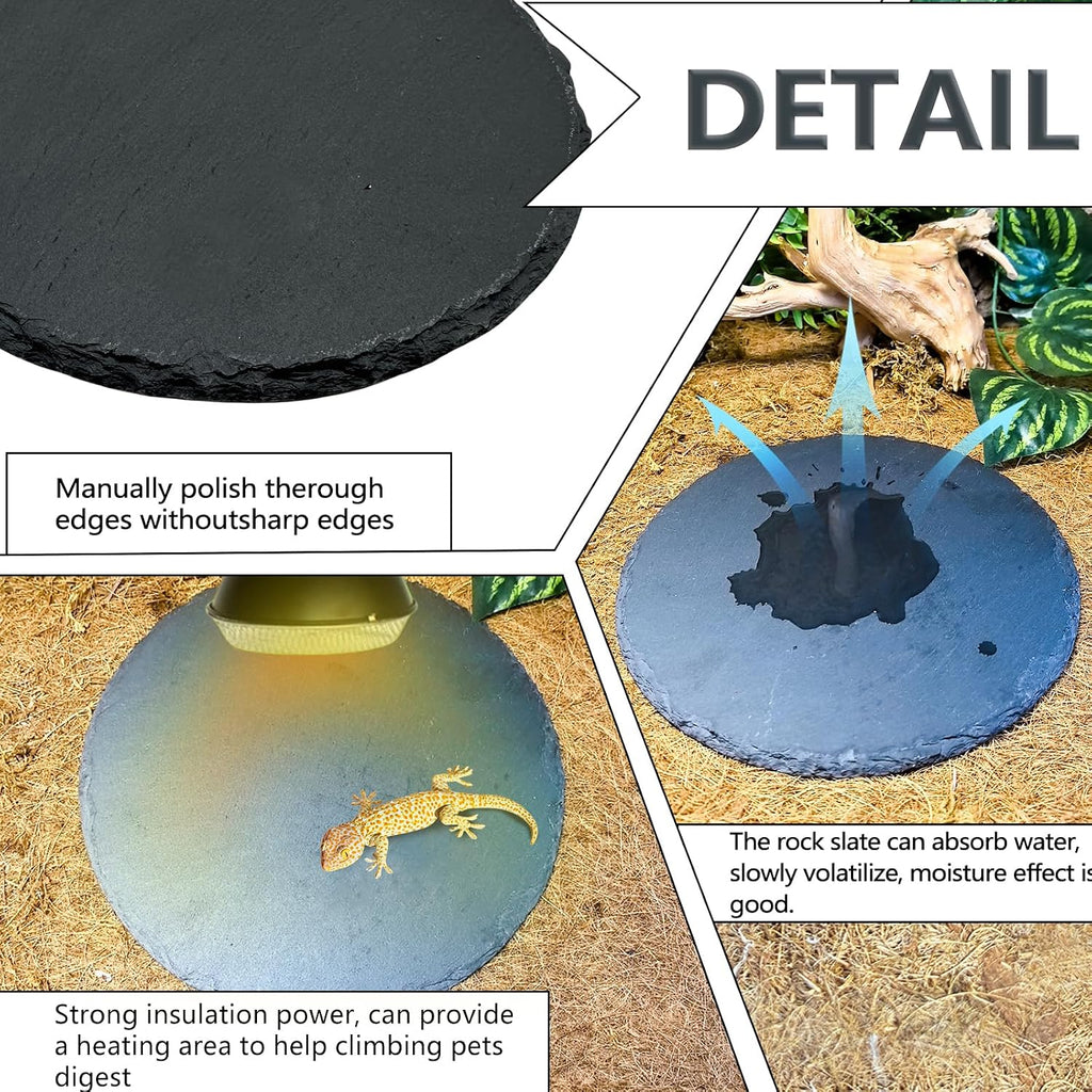 2Pcs Reptile Basking Platform 7.8in Rock Slate Plate Food Bowl for Tortoise