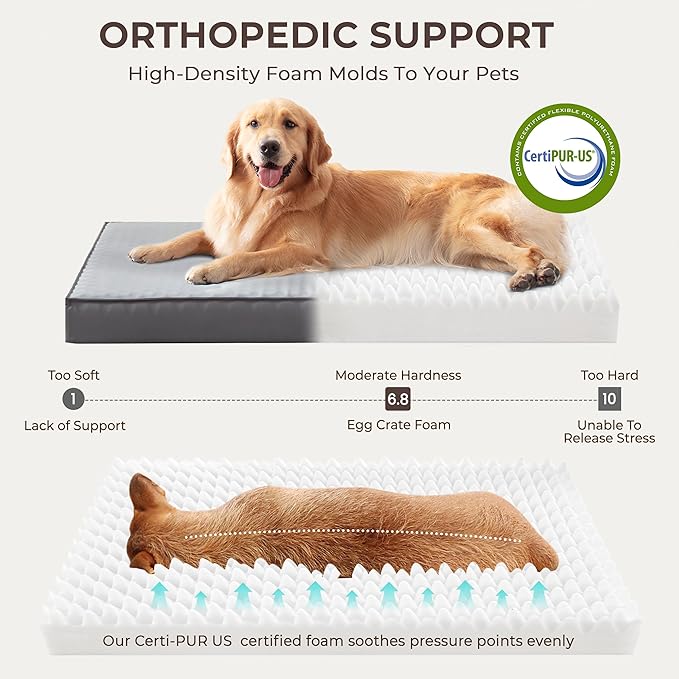 2-Pack Waterproof Dog Bed Large Size Dogs, Plush Cushion & Orthopedic Egg-Crate - Image 3