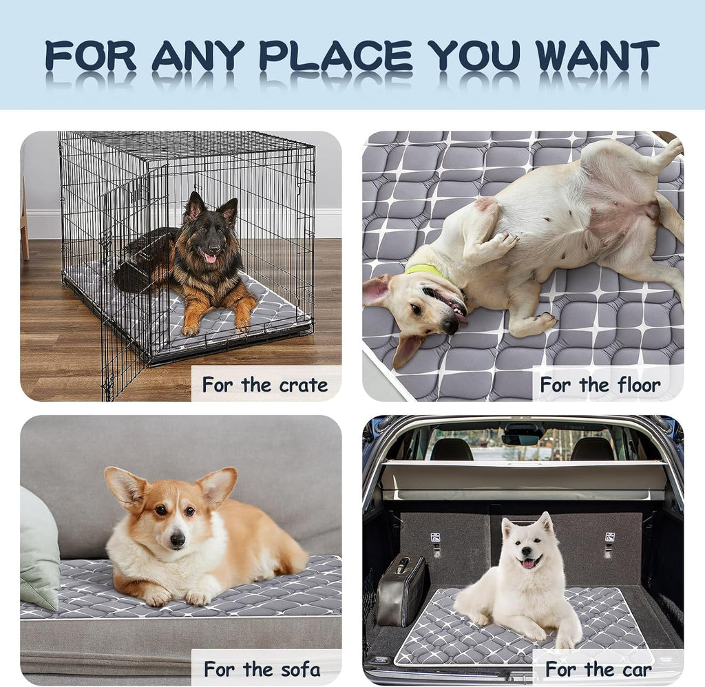 Bubble bear Dog Crate Pad - Ultra Soft, Washable Crate Mat, Anti-Slip Kennel Pad for Small/Medium/Large Dogs, Dark-Hued to Hide Stains (36"x23")