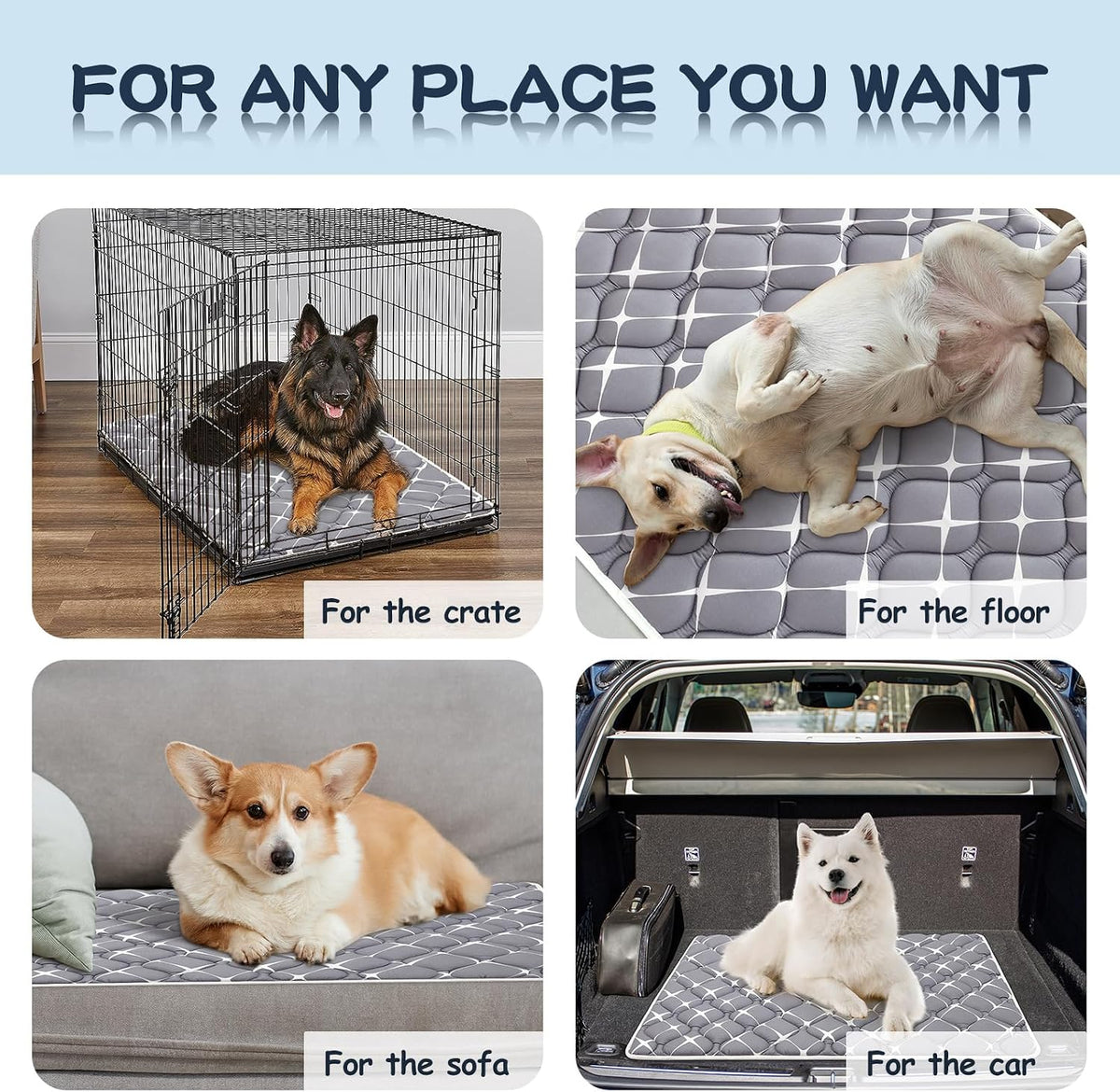 Bubble bear Dog Crate Pad - Ultra Soft, Washable Crate Mat, Anti-Slip Kennel Pad for Small/Medium/Large Dogs, Dark-Hued to Hide Stains (36"x23")